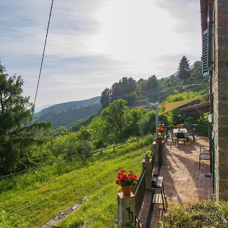 Casa Serena Petrognano  Bagian luar foto