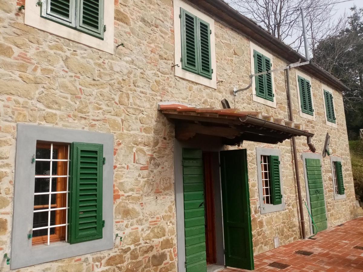 Casa Serena Villa Petrognano  Bagian luar foto