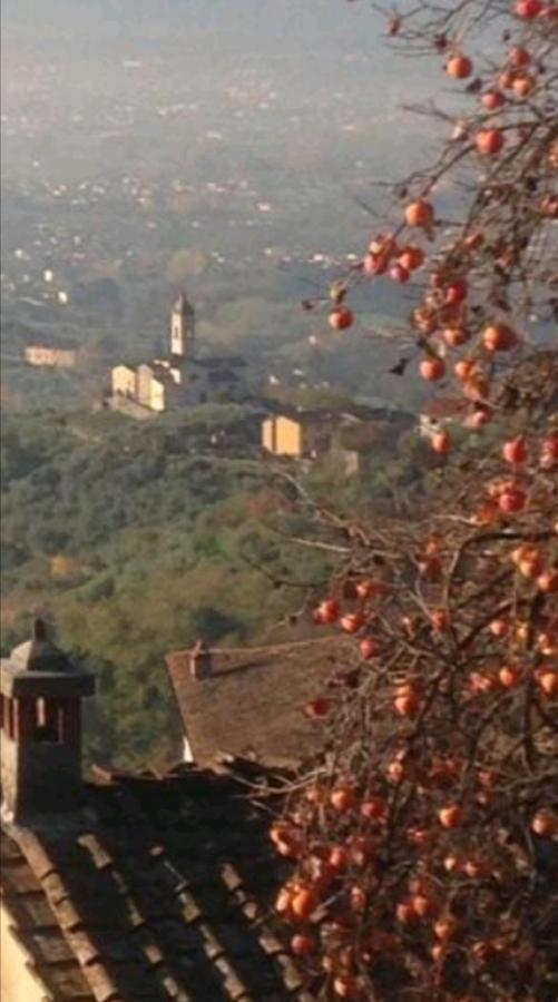 Casa Serena Villa Petrognano  Bagian luar foto