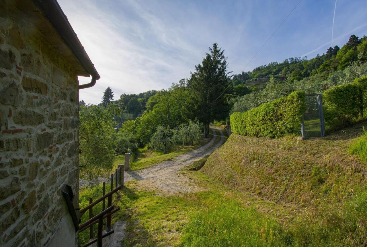 Casa Serena Petrognano  Bagian luar foto