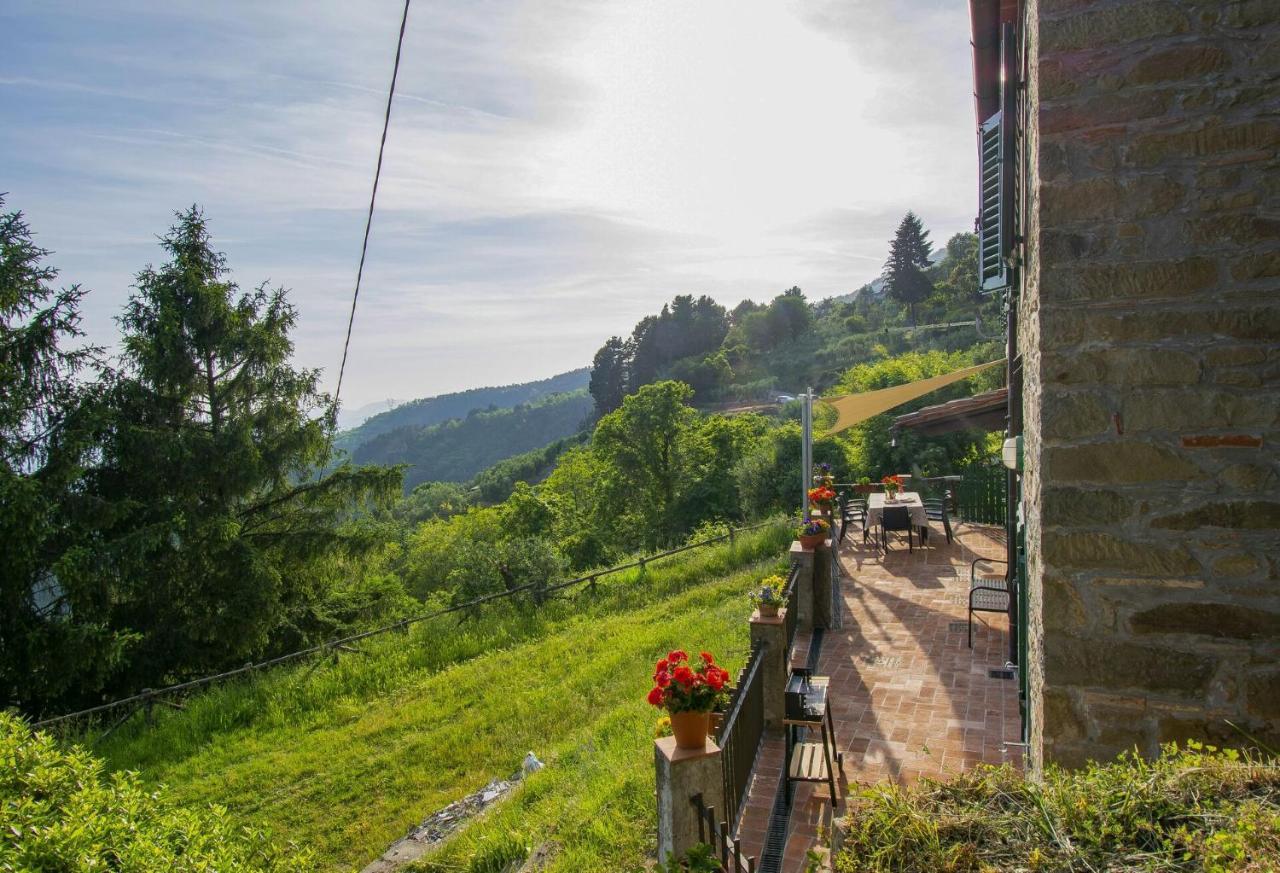 Casa Serena Villa Petrognano  Bagian luar foto