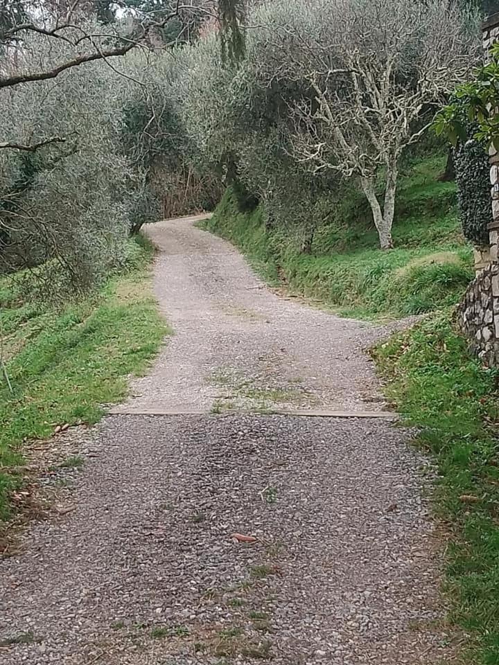 Casa Serena Villa Petrognano  Bagian luar foto