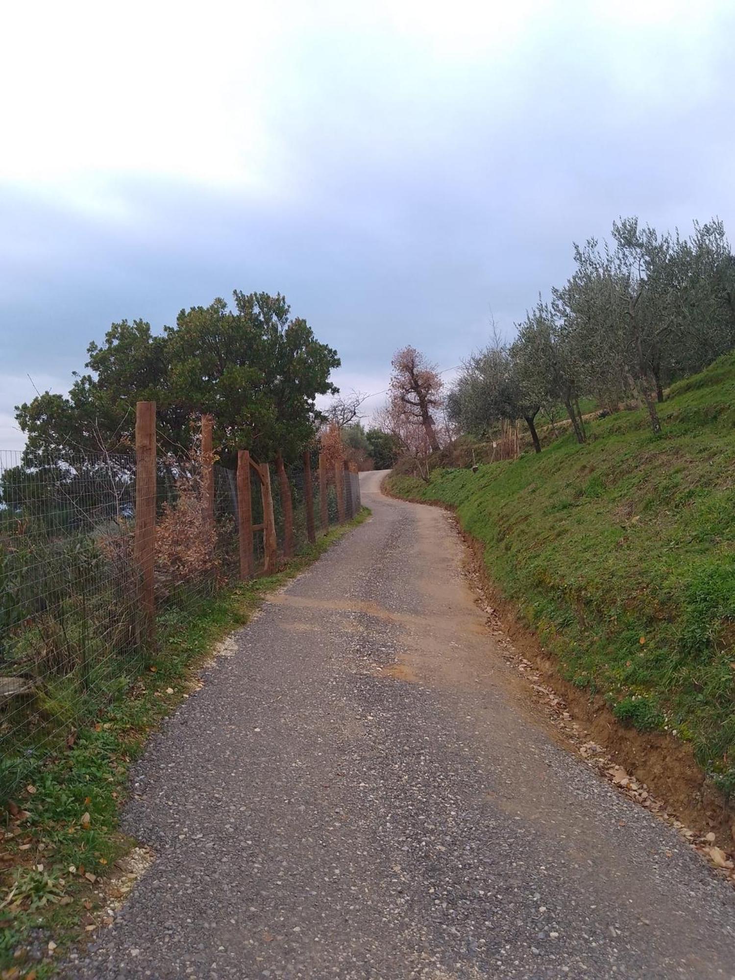 Casa Serena Villa Petrognano  Bagian luar foto
